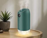 Perle Rare - Silent Ultrasonic Baby Air Humidifier Air Humidifier, Auto Shut Off Home Air Humidifier for Bedroom Office Yoga, Green RBD016549myl 9027979787566