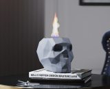Livingandhome - Stainless Steel Tabletop Skull Ethanol Fireplace PM1181 735940298063